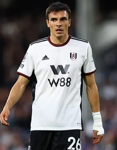 曼联中场引援：老将之选与帕利尼亚适配性探讨