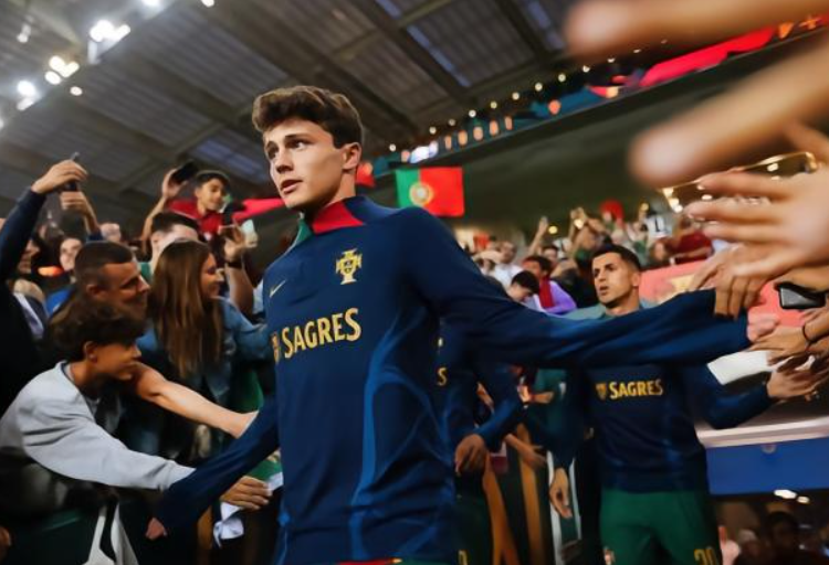 葡萄牙大胜亚美尼亚：若昂·内维斯赛后畅谈比赛感悟